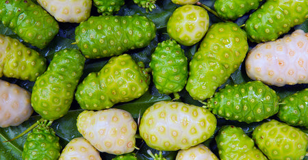 Noni Fruit